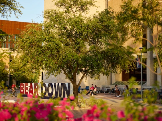 Bear Down Sign Student Success District
