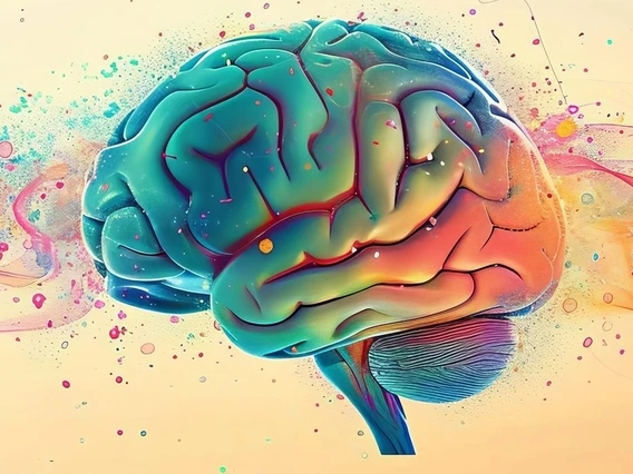 Brain illustration